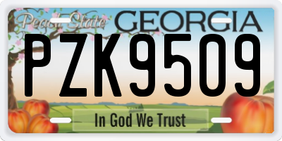 GA license plate PZK9509