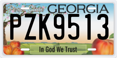 GA license plate PZK9513