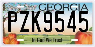 GA license plate PZK9545