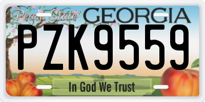 GA license plate PZK9559