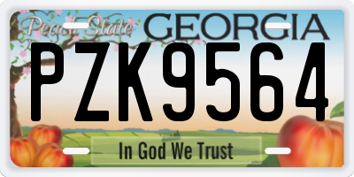 GA license plate PZK9564