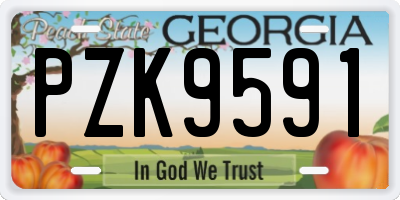 GA license plate PZK9591