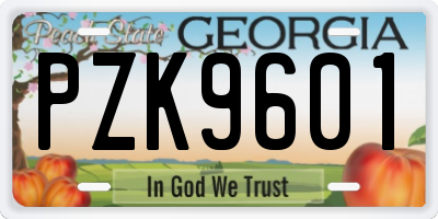 GA license plate PZK9601