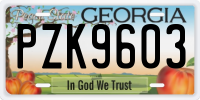 GA license plate PZK9603
