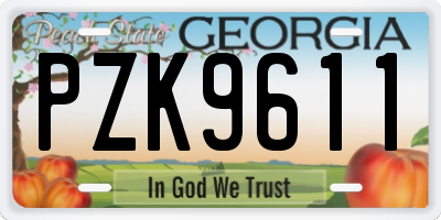 GA license plate PZK9611