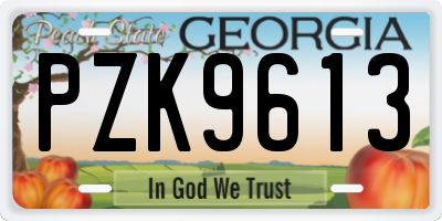 GA license plate PZK9613