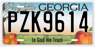 GA license plate PZK9614