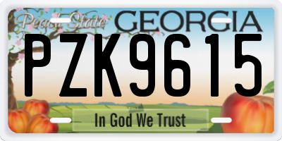 GA license plate PZK9615
