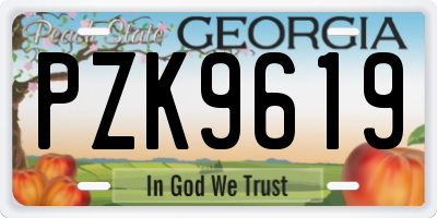 GA license plate PZK9619