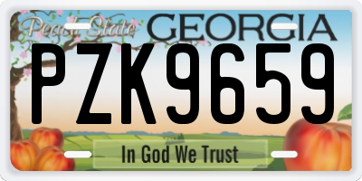 GA license plate PZK9659