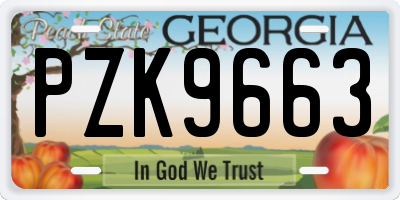 GA license plate PZK9663