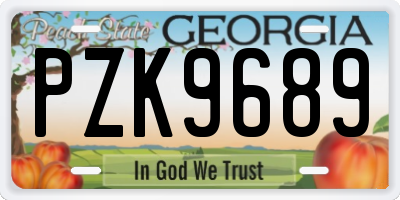 GA license plate PZK9689