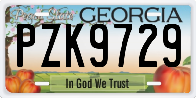 GA license plate PZK9729