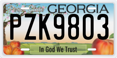 GA license plate PZK9803