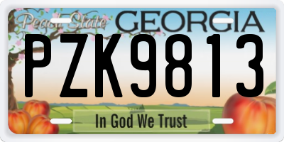 GA license plate PZK9813