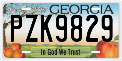 GA license plate PZK9829