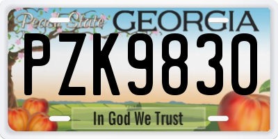 GA license plate PZK9830