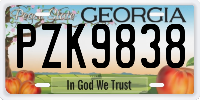 GA license plate PZK9838