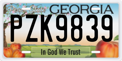 GA license plate PZK9839