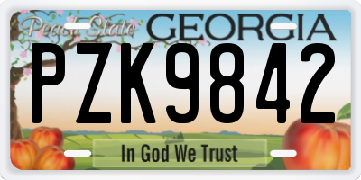 GA license plate PZK9842