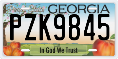 GA license plate PZK9845