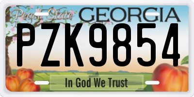 GA license plate PZK9854