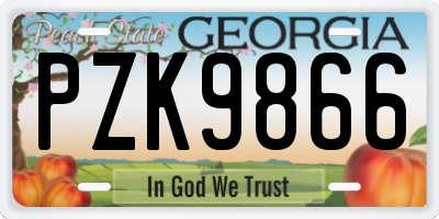 GA license plate PZK9866
