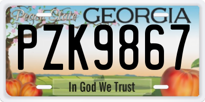GA license plate PZK9867