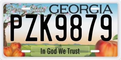 GA license plate PZK9879