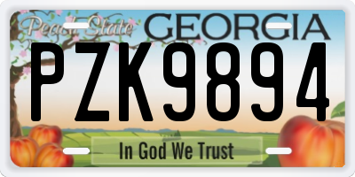 GA license plate PZK9894