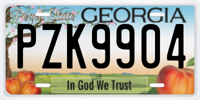 GA license plate PZK9904