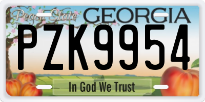 GA license plate PZK9954