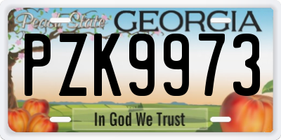 GA license plate PZK9973