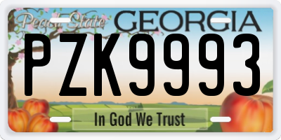 GA license plate PZK9993