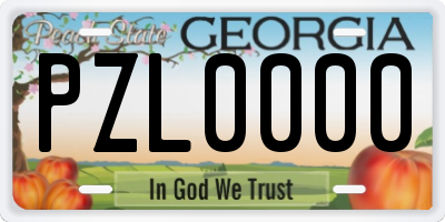 GA license plate PZL0000