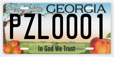 GA license plate PZL0001