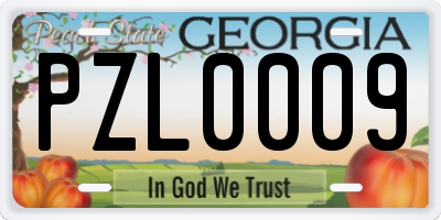 GA license plate PZL0009
