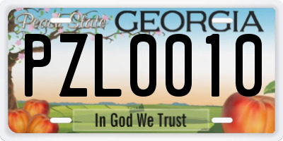 GA license plate PZL0010