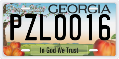 GA license plate PZL0016