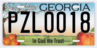 GA license plate PZL0018