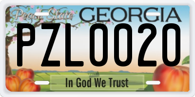 GA license plate PZL0020
