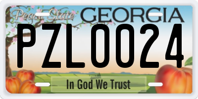 GA license plate PZL0024
