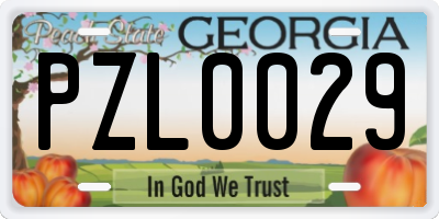 GA license plate PZL0029