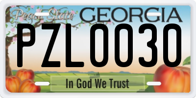 GA license plate PZL0030