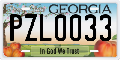 GA license plate PZL0033