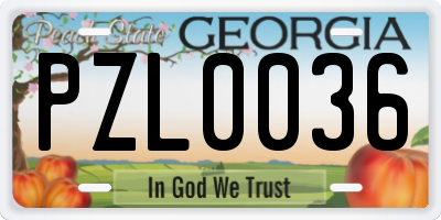 GA license plate PZL0036