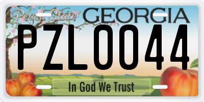 GA license plate PZL0044