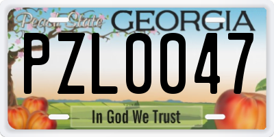 GA license plate PZL0047
