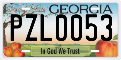 GA license plate PZL0053