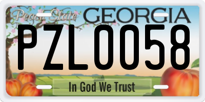 GA license plate PZL0058